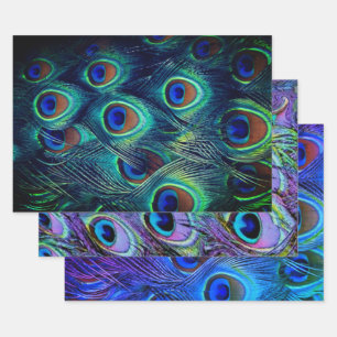 Peacock Feathers Collection Wrapping Paper Sheet
