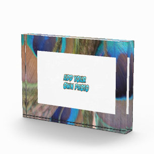Peacock Feathers Customisable Photo Block