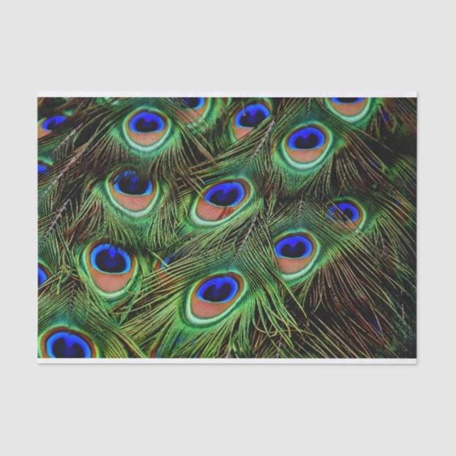 Peacock Feathers Decoupage Tissue Paper (Front)