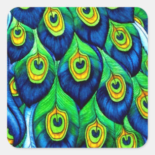 Peacock Feathers Design Square Sticker