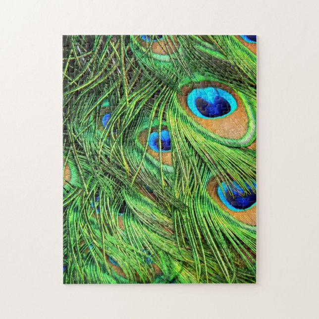 Peacock Feathers Difficult Puzzle (Vertical)
