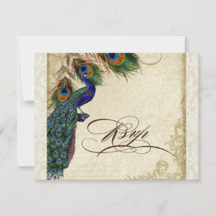 Peacock & Feathers Formal RSVP Response Cream