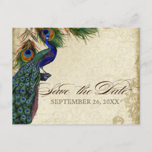 Peacock & Feathers Formal Save the Date Aqua Blue Announcement Postcard