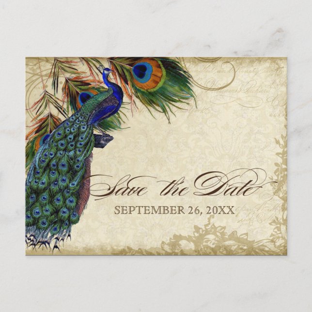 Peacock & Feathers Formal Save the Date Black Tan Announcement Postcard (Front)