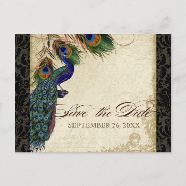 Peacock & Feathers Formal Save the Date Black Tan Announcement Postcard (Front)