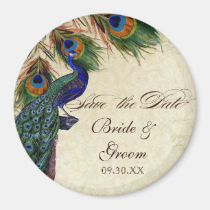 Peacock & Feathers Formal Save the Date Black Tan Magnet