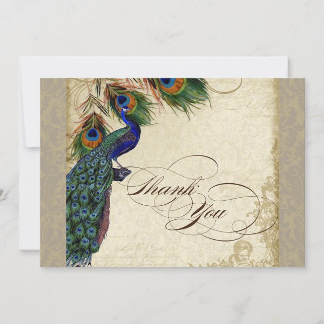 Peacock Feathers Formal Thank You Notes Taupe (Front)