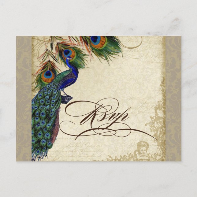 Peacock & Feathers Formal Wedding RSVP Response Invitation Postcard (Front)