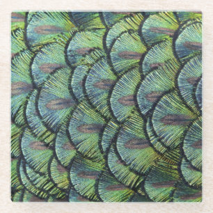 Peacock Feathers Glass Coaster