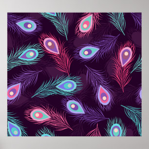 Peacock Feathers: Hand Drawn Vintage. Poster