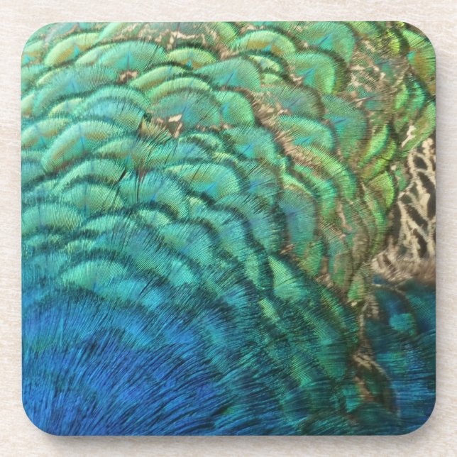 Peacock Feathers I Colorful Abstract Nature Design Coaster (Front)