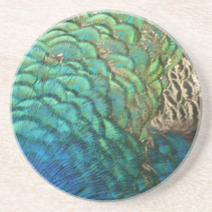 Peacock Feathers I Colourful Abstract Nature Coaster