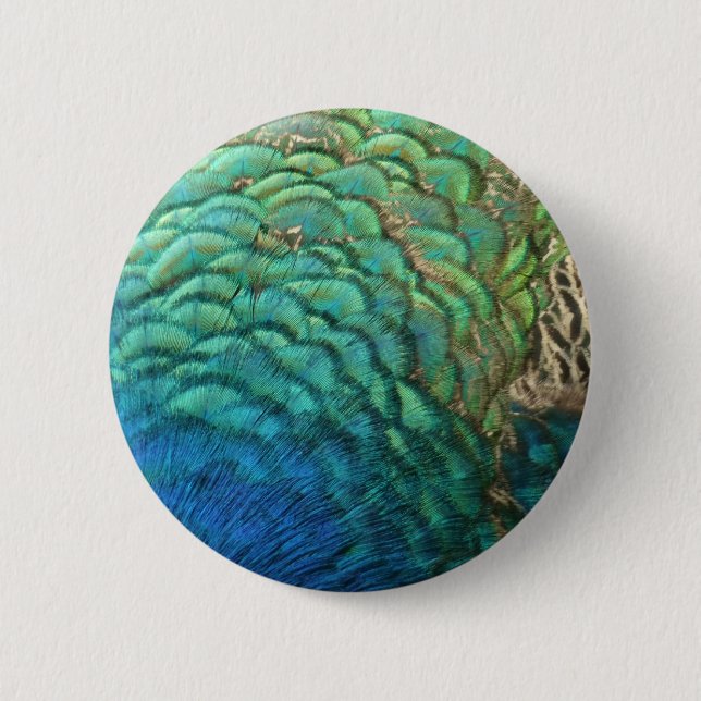 Peacock Feathers I Colourful Abstract Nature Desig 6 Cm Round Badge (Front)