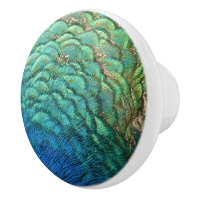 Peacock Feathers I Colourful Abstract Nature Desig Ceramic Knob (Right)