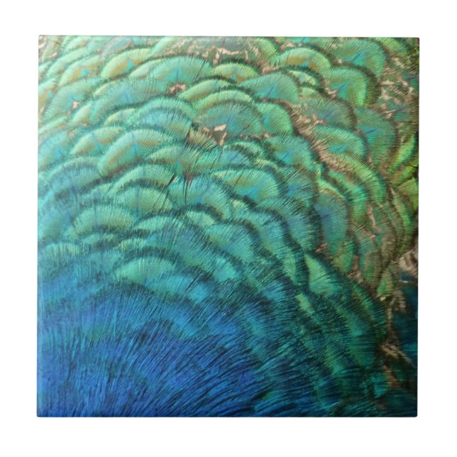 Peacock Feathers I Colourful Abstract Nature Desig Ceramic Tile (Front)