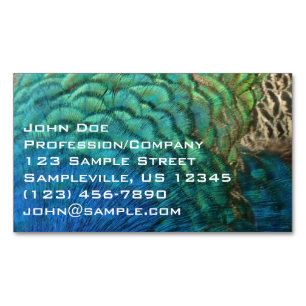 Peacock Feathers I Colourful Abstract Nature Desig Magnetic Business Card