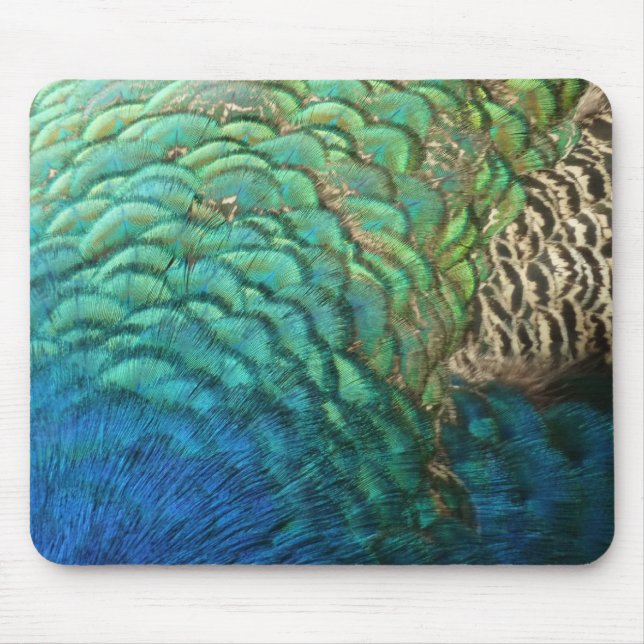 Peacock Feathers I Colourful Abstract Nature Desig Mouse Pad (Front)