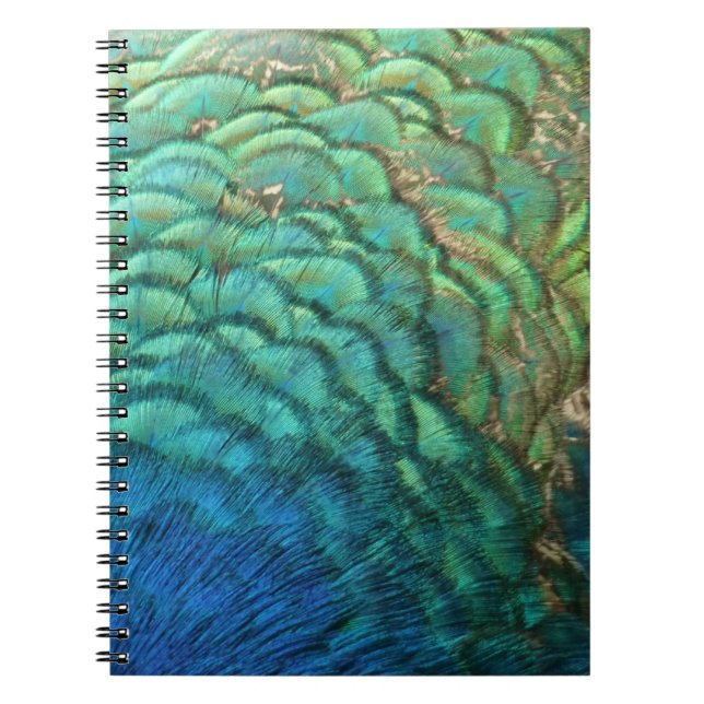 Peacock Feathers I Colourful Abstract Nature Desig Notebook (Front)