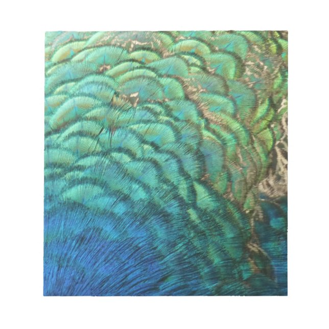 Peacock Feathers I Colourful Abstract Nature Desig Notepad (Front)