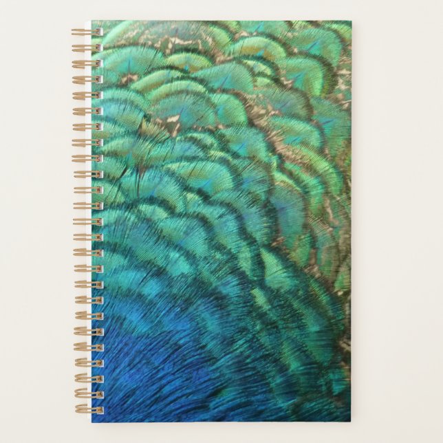 Peacock Feathers I Colourful Abstract Nature Desig Planner (Front)
