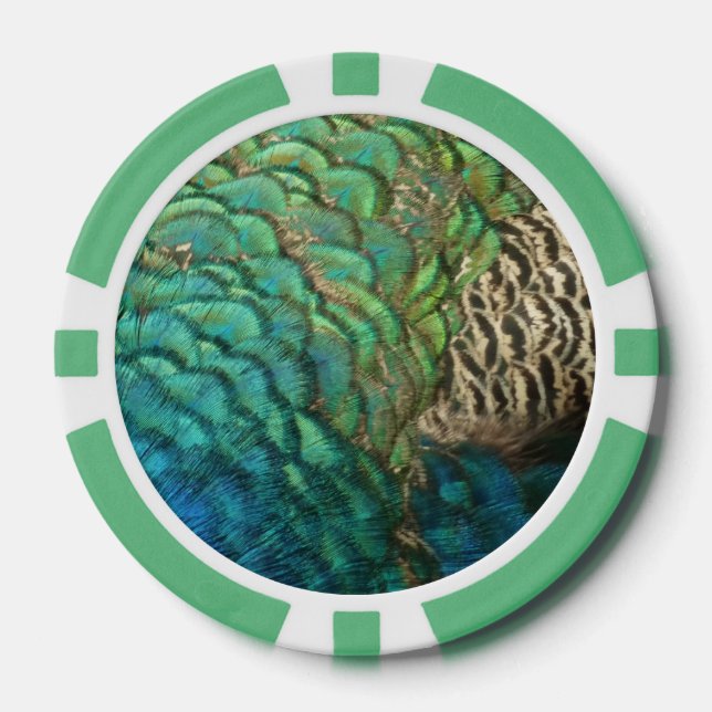 Peacock Feathers I Colourful Abstract Nature Desig Poker Chips (Front)