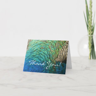 Peacock Feathers I Colourful Abstract Nature Desig Thank You Card