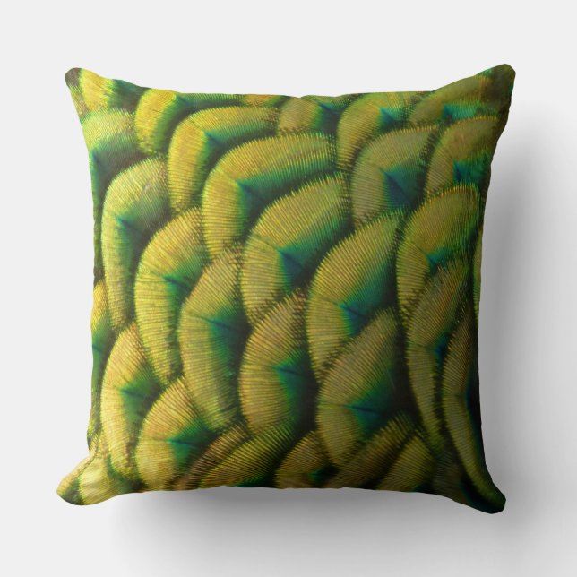 Peacock Feathers II Colourful Nature Cushion (Front)