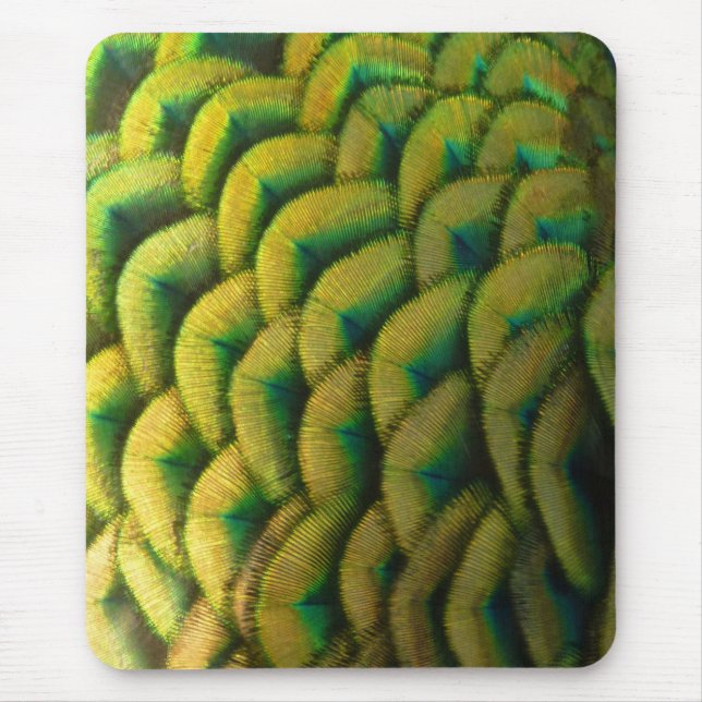 Peacock Feathers II Colourful Nature Mouse Pad (Front)