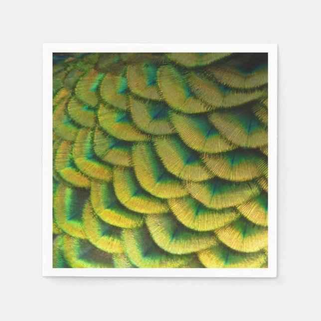 Peacock Feathers II Colourful Nature Napkin (Front)