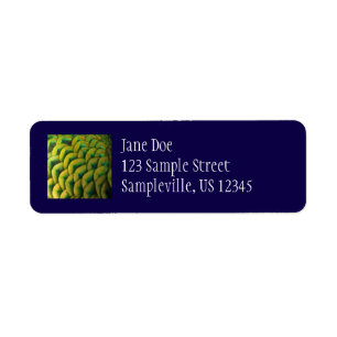 Peacock Feathers II Colourful Nature Return Address Label