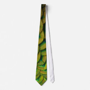 Peacock Feathers II Colourful Nature Tie