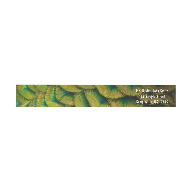 Peacock Feathers II Colourful Nature Wrap Around Label (Individual)