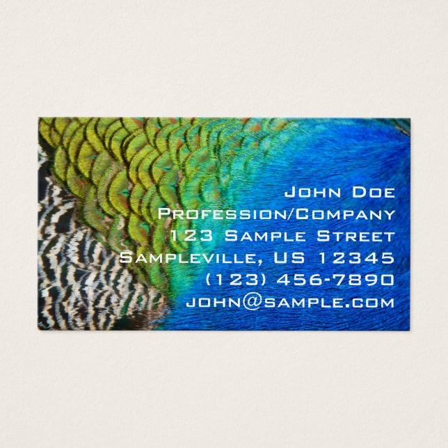 Peacock Feathers IV Colourful Abstract Nature (Front)