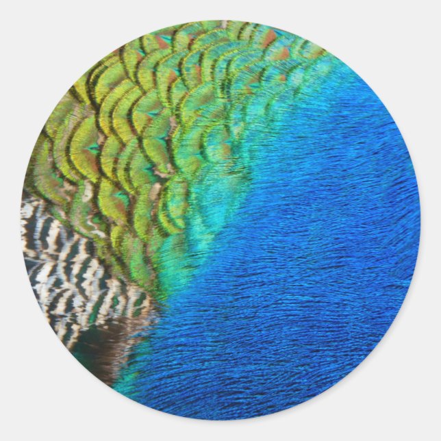 Peacock Feathers IV Colourful Abstract Nature Classic Round Sticker (Front)