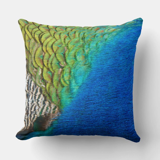 Peacock Feathers IV Colourful Abstract Nature Cushion (Front)