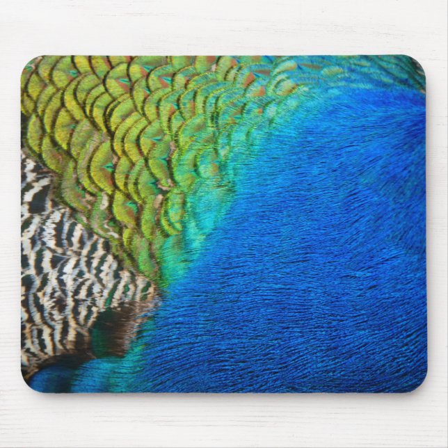 Peacock Feathers IV Colourful Abstract Nature Mouse Pad (Front)