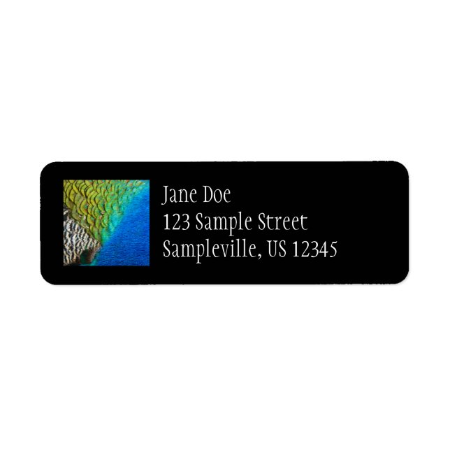 Peacock Feathers IV Colourful Abstract Nature Return Address Label (Front)
