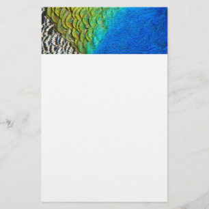 Peacock Feathers IV Colourful Abstract Nature Stationery