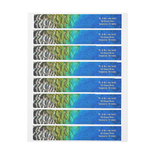 Peacock Feathers IV Colourful Abstract Nature Wrap Around Label