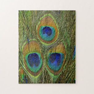 Peacock Feathers Jigsaw Puzzle