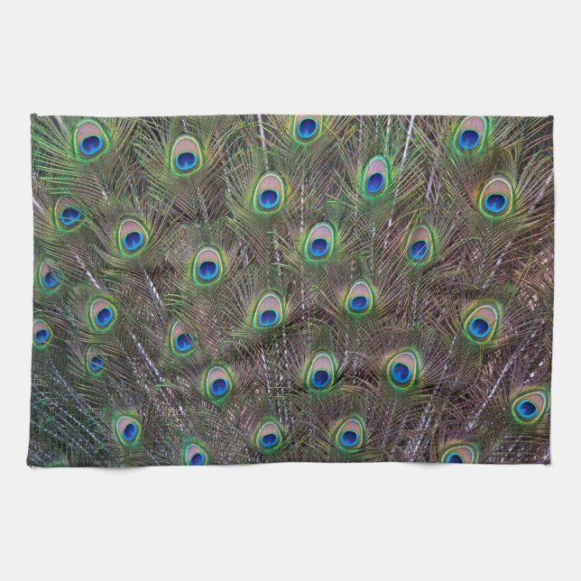 Peacock Feathers Kitchen Towel (Horizontal)
