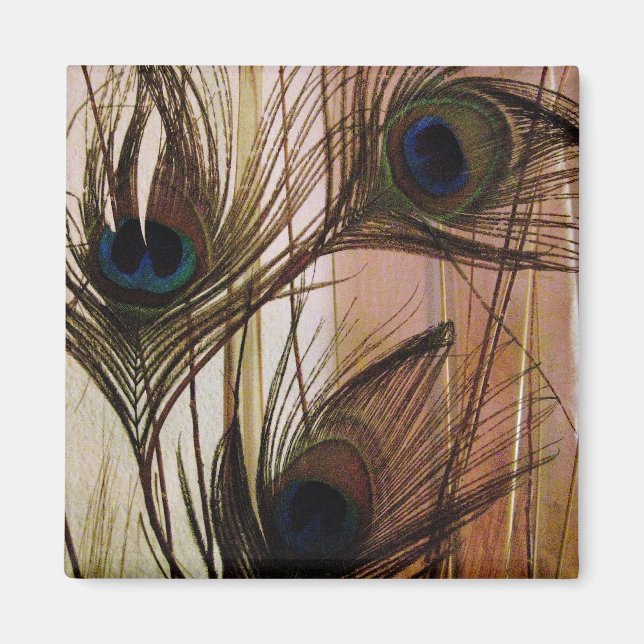 Peacock Feathers Magnet (Front)