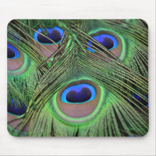 Peacock Feathers Mouse Pad