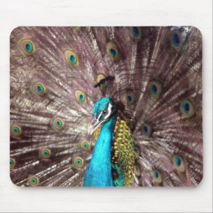 peacock feathers mouse pad