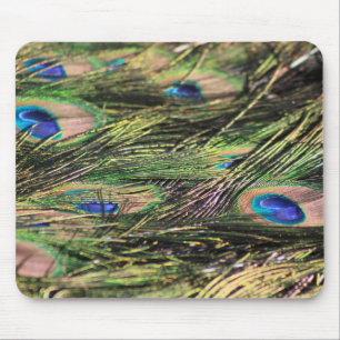 Peacock feathers mousepad