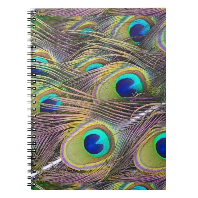 Peacock Feathers Notebook (Front)