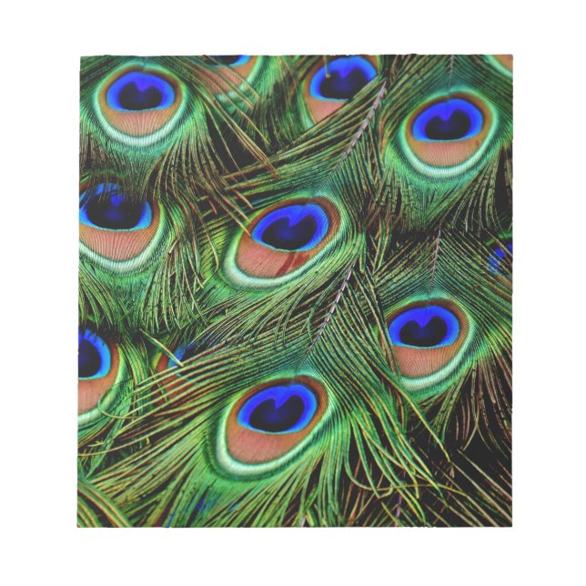 Peacock Feathers Notepad (Front)