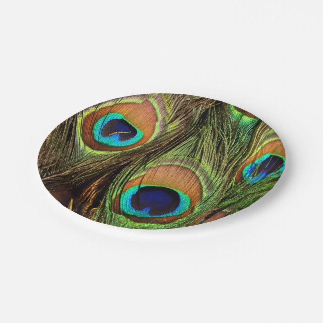 Peacock Feathers Paper Plates (Angled)