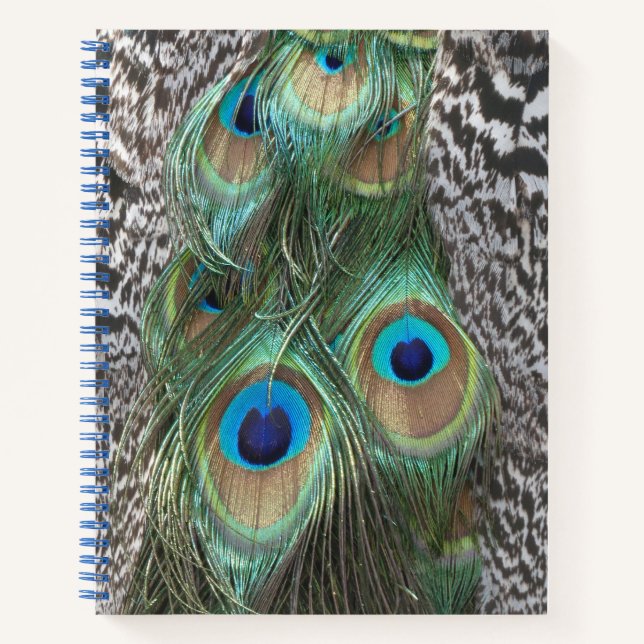 Peacock Feathers Pattern Notebook (Front)