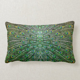 Peacock feathers Pillow
